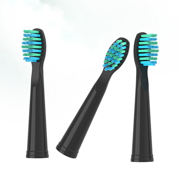 Berserk Round Head Cheap Wholesale Ipx 7 Sonic Electric Toothbrush Dental Care Replacement Toothbrush  Head