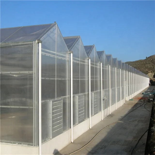 Greenhouse Factory  Manufacture Poly tunnel Agricultural Greenhouse for Growing System