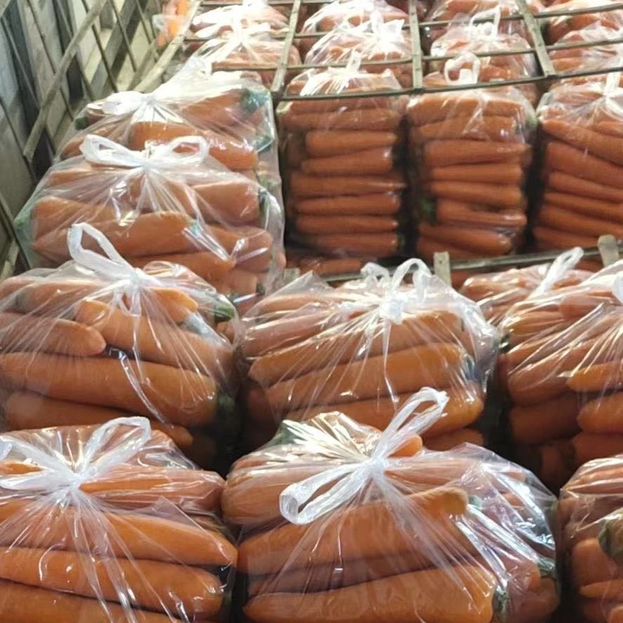 Chinese Factory Price Fresh Organic Bag Red Carrots