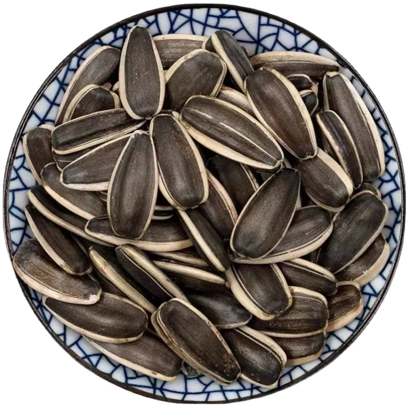 ZDJ Sunflower Seeds 361and 363 and 601 with high quality hot selling ready to export