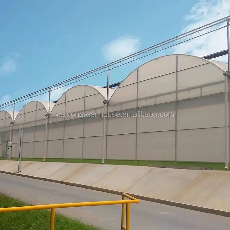 Large Size Polycarbonate Outdoor PC Sunlight Solar Panel Greenhouse From China