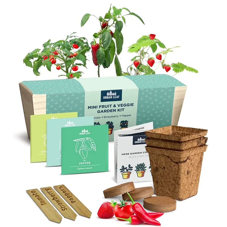 2023  growing sprouting jar starter pot ear flower  grow kit nesting fruits scooper avocado  remover