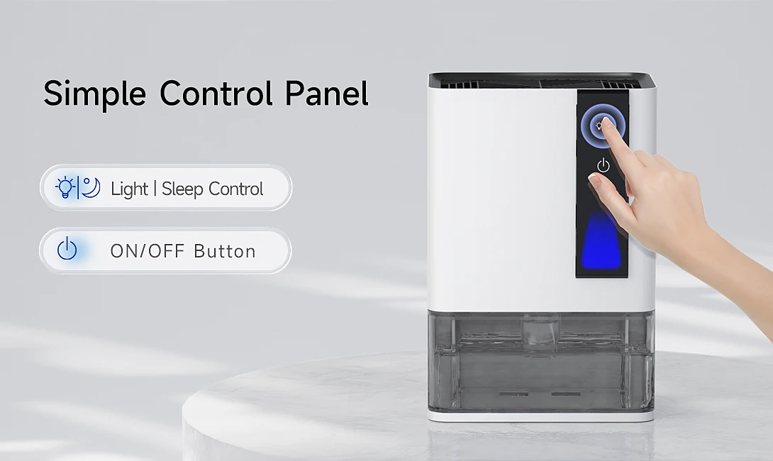 20240806-Macro-duo-_04