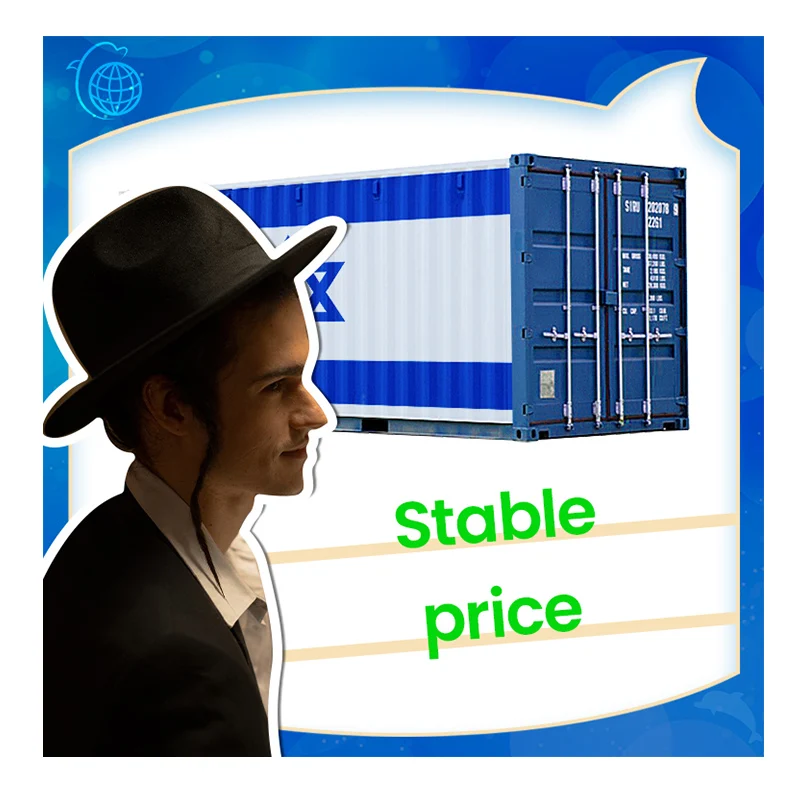 professional freight forwarder shipping from china to Israel by sea air and express with DDP