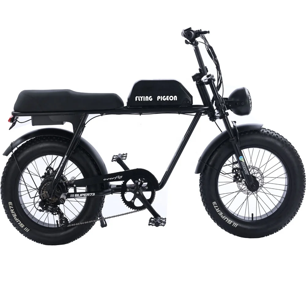 20 FAT TIRE  Popular Electric Bicycle [FP-EB23001]
