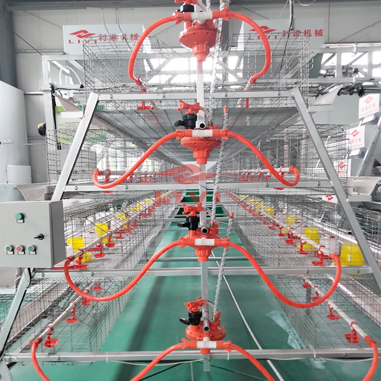 Popular Industrial Hot Galvanized 4 Tier A Type pullet cages Battery baby Layer Chicken Shed Cage For Reasonable Price
