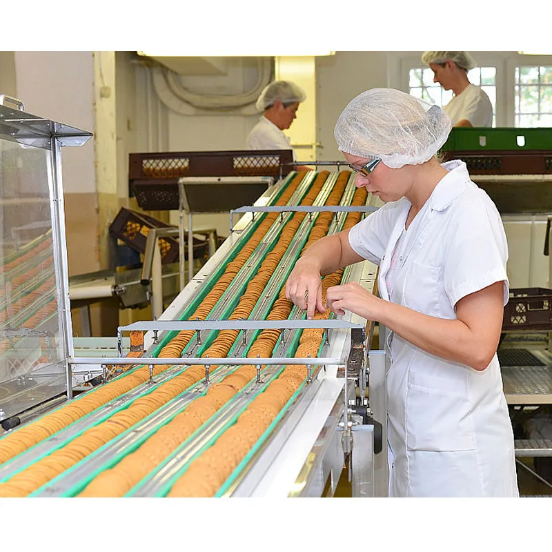 Industrial hard and soft machine animal biscuit making machine soda biscuit equipment from Shanghai