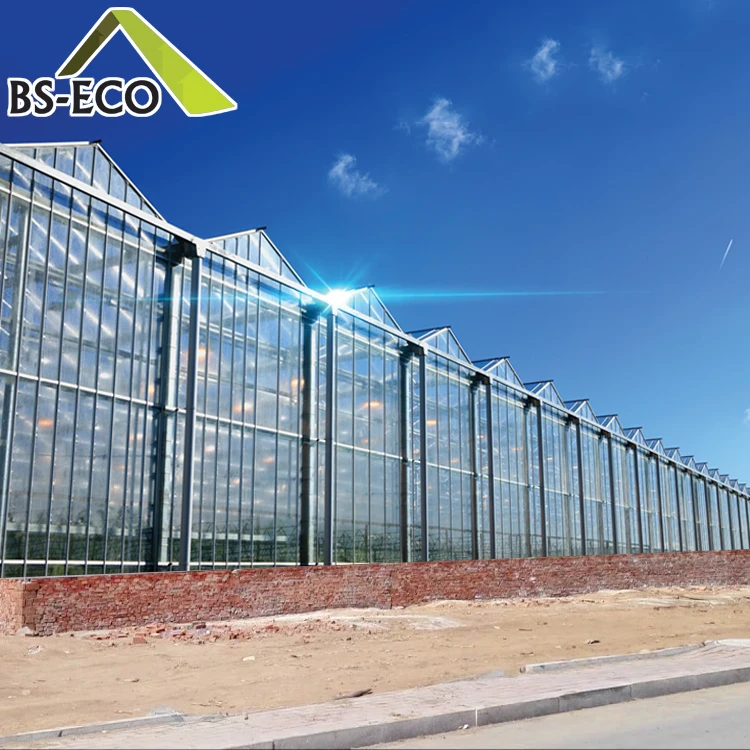Venlo Multi-span Glass Greenhouse for Commercial with Indoor Hydroponic NFT Systems