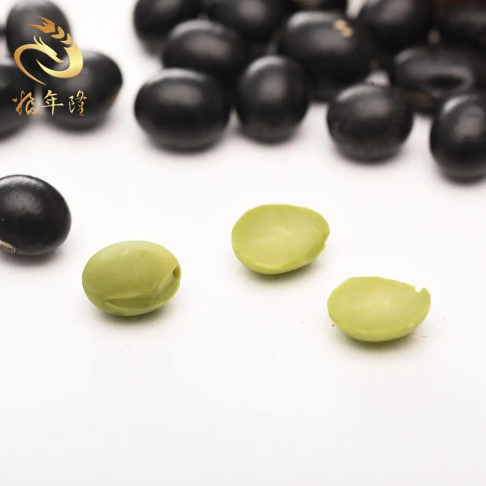 
New farming organic high protein Small Black Bean 