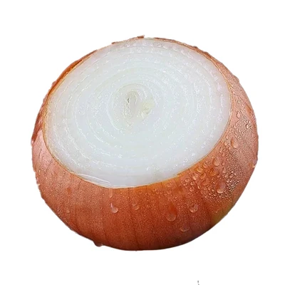 Mass cheap seller onion red and yellow onion from china yantai