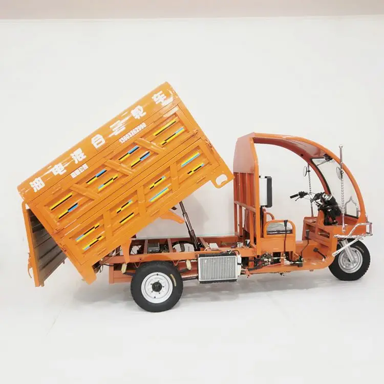 Hot Selling Three Wheel Cargo Three-wheeled Truck Dump The Sanitation Tricycle
