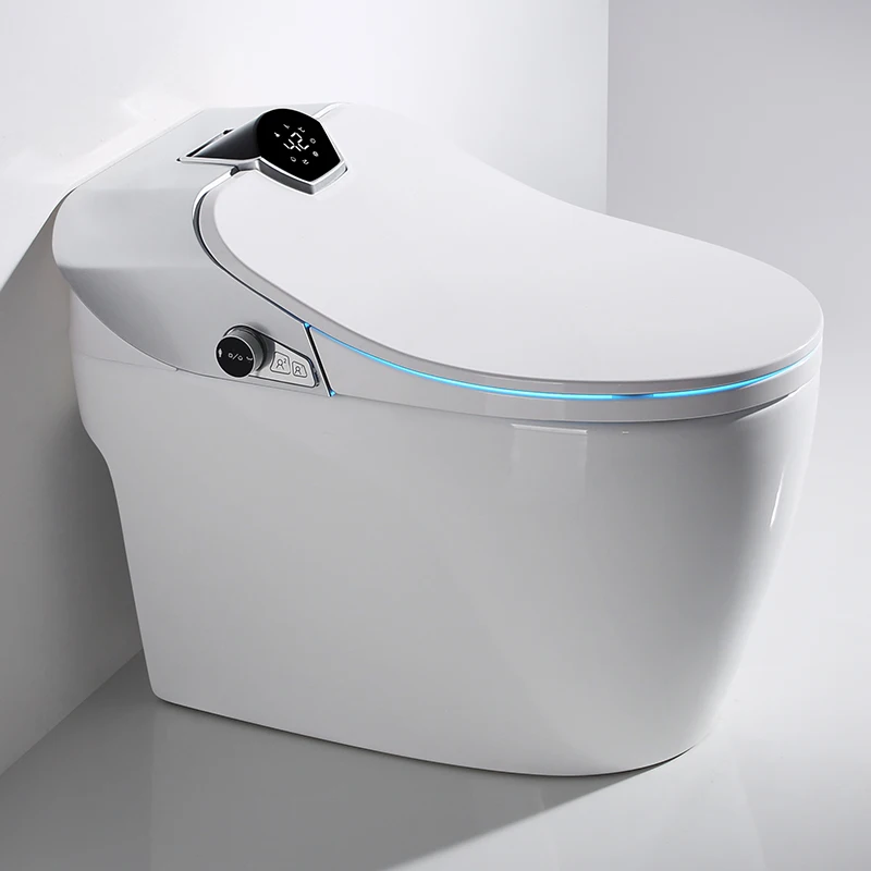 Sanitary Ware Ceramic One-Piece Wash Down Toilet Auto Cleaning Function Wc Smart Toilet With Bidet