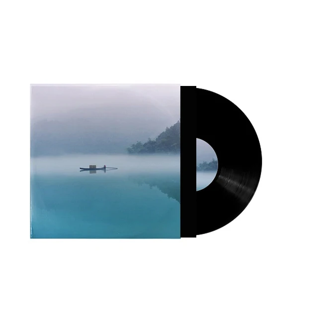 Vinyl Disc Records Manufacturers Record Lp Pressing Music Soild