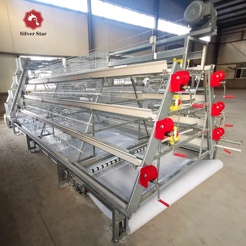 2021 new design A type Automatic Broiler Chicken Cage System.jpg