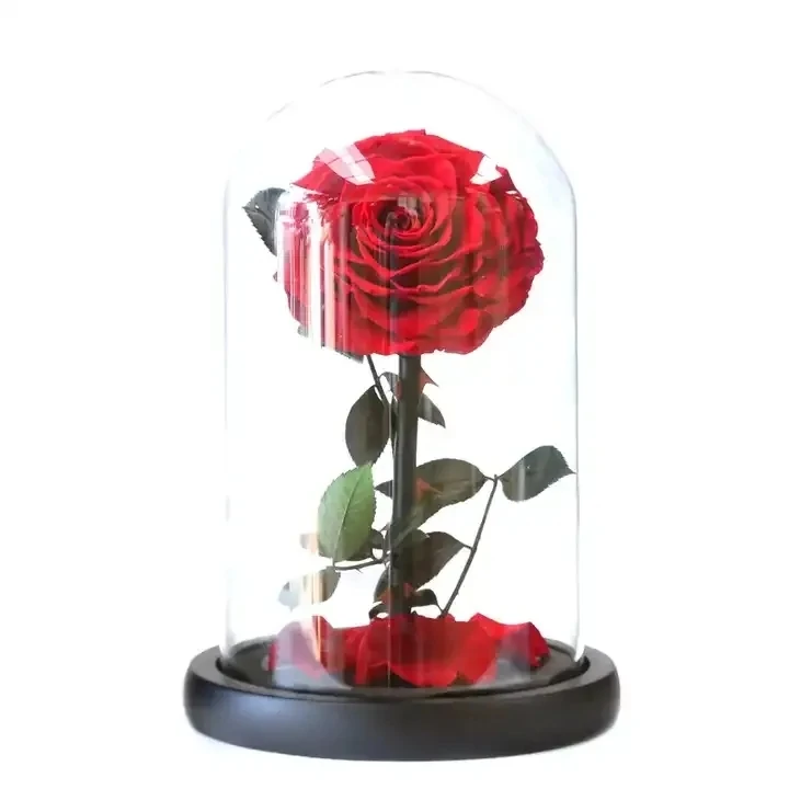 Hot Sale Factory Directly Selling Eternal Rose Preserved Flower Forever Roses in Dome for Wedding