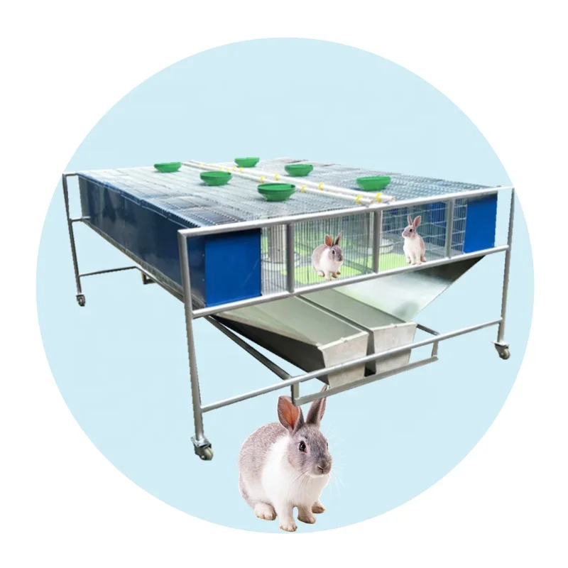 Competitive Equipment Morant Hutch Customized Size With Granular Feed Trough Installed Rabbit Cage