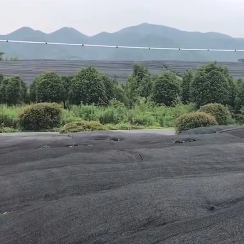 
USDA Certified 100% Natural instant Organic green tea matcha powder 