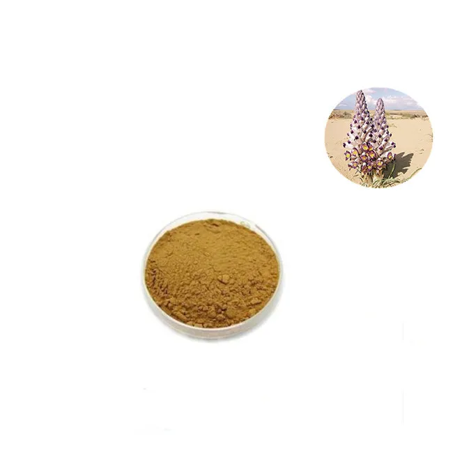 Cistanche Deserticola,Caulis Cistanchis Extract,Cistanche tubulosa Extract