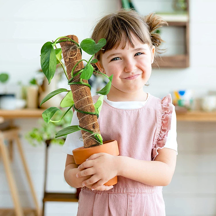 Natural 24 Inch Stakes Totem Forest Sphagnum  Plant Moss Poles for Climbing Plants Support