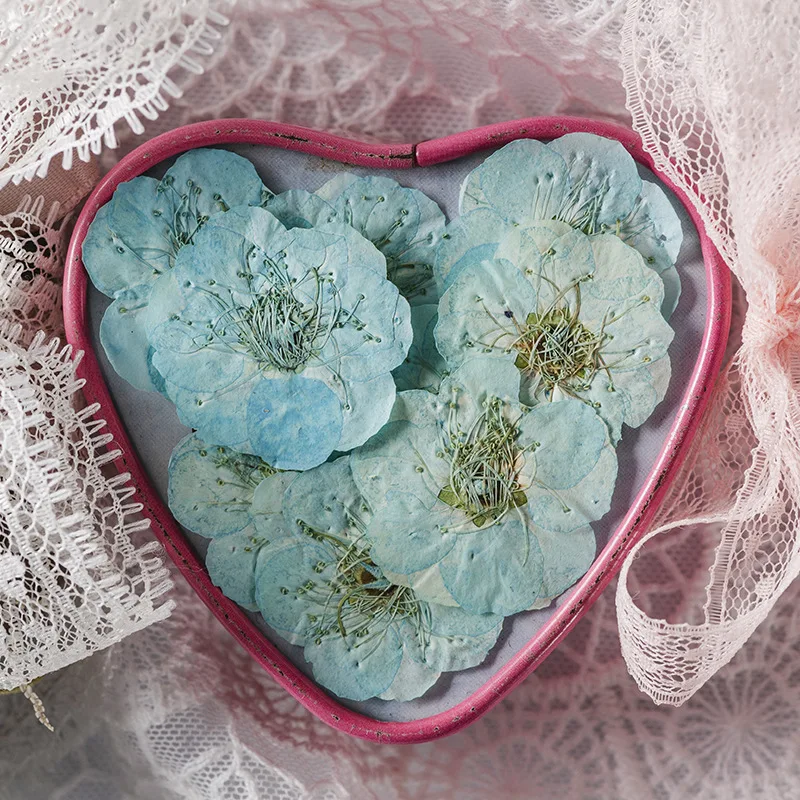 12pcs/bag Plum Blossom Card Making Supplies Resin Jewelry Natural Plant Eco-friendly Real Pressed Flower