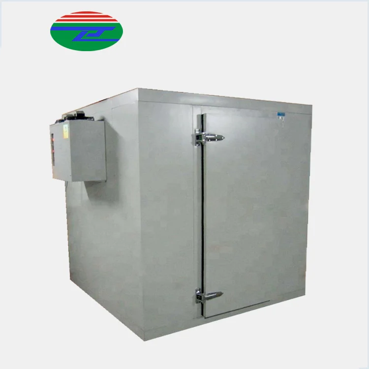 Small meat freezing chamber storage blast freezer containers cooling room solar cool room