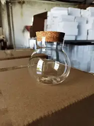 Glass Jar Terrarium