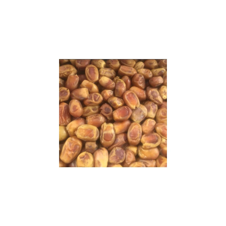 Wholesale New Arrival Egypt Dried Fruit Dry Certified Jujube Red Dates Zahdi dates for good price