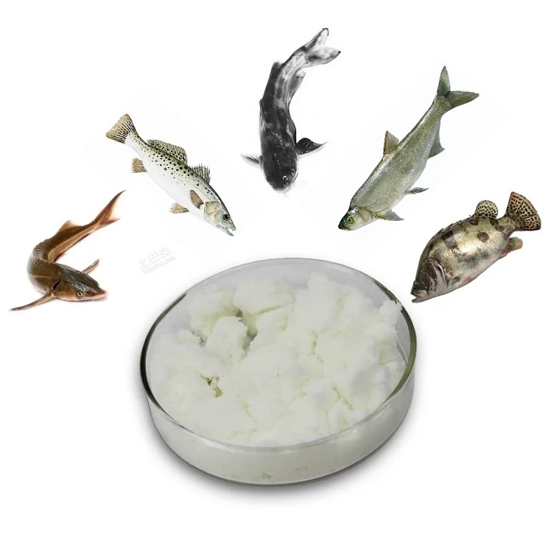 Aquaculture Probiotics DMT 98%  Good survival rate and improved yields of fishes and shrimps