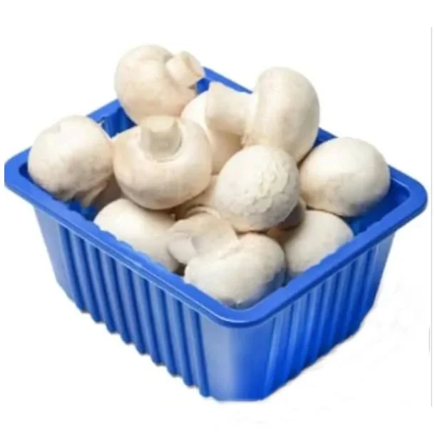 Plastic Blue Mushroom Punnet Packaging Tray Mushroom Plastic PP Trays For Packing Mushrooms