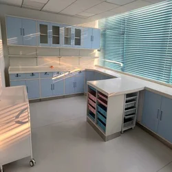 Laboratory  Wall Bench chemical resistant worktop  cold-rolled steel epoxy resin cabinet