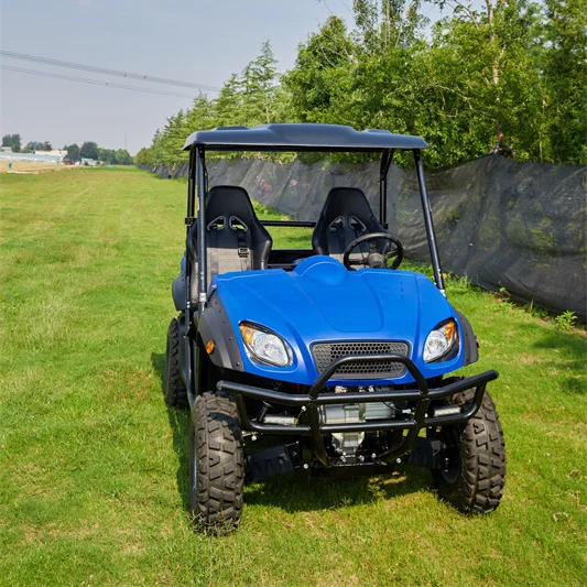 New  model Electric off 4wd road side by side UTV  buggy