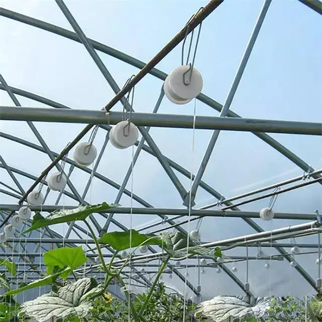 Tomato Roller Hook With Twine Agricultural Greenhouse for Grow Support