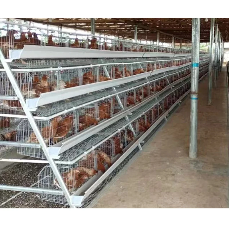 10 Sets Discounted Price Poultry Equipment Chicken Farming A Type 10000 Layer Chickens Farm Bird Layer Chicken Cage For Sale