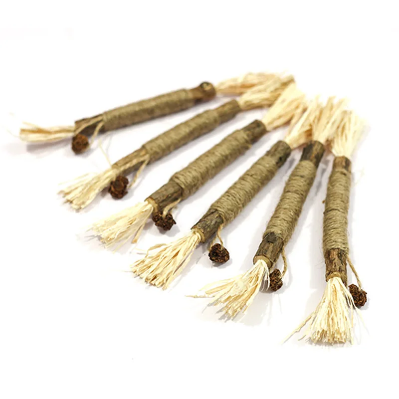 Natural Matatabi Pet Cat Snacks Sticks Cleaning Tooth Catnip Cat Toys Actinidia Silvervine Pet Toy For Cats