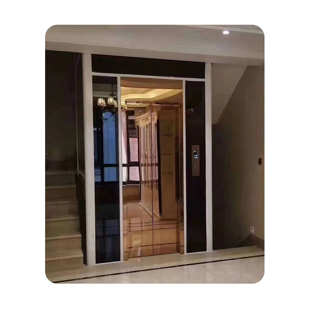 Luxurious comfortable Simple installation Home Lift Good Quality elderly people smart villa elevator