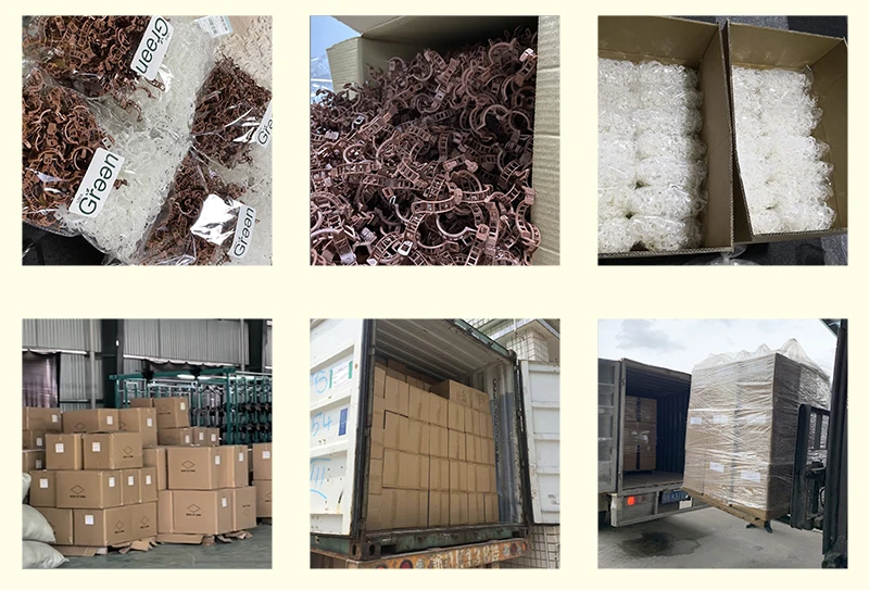 100 pack small size spring plant staking loop gripper vine clips for wholesale