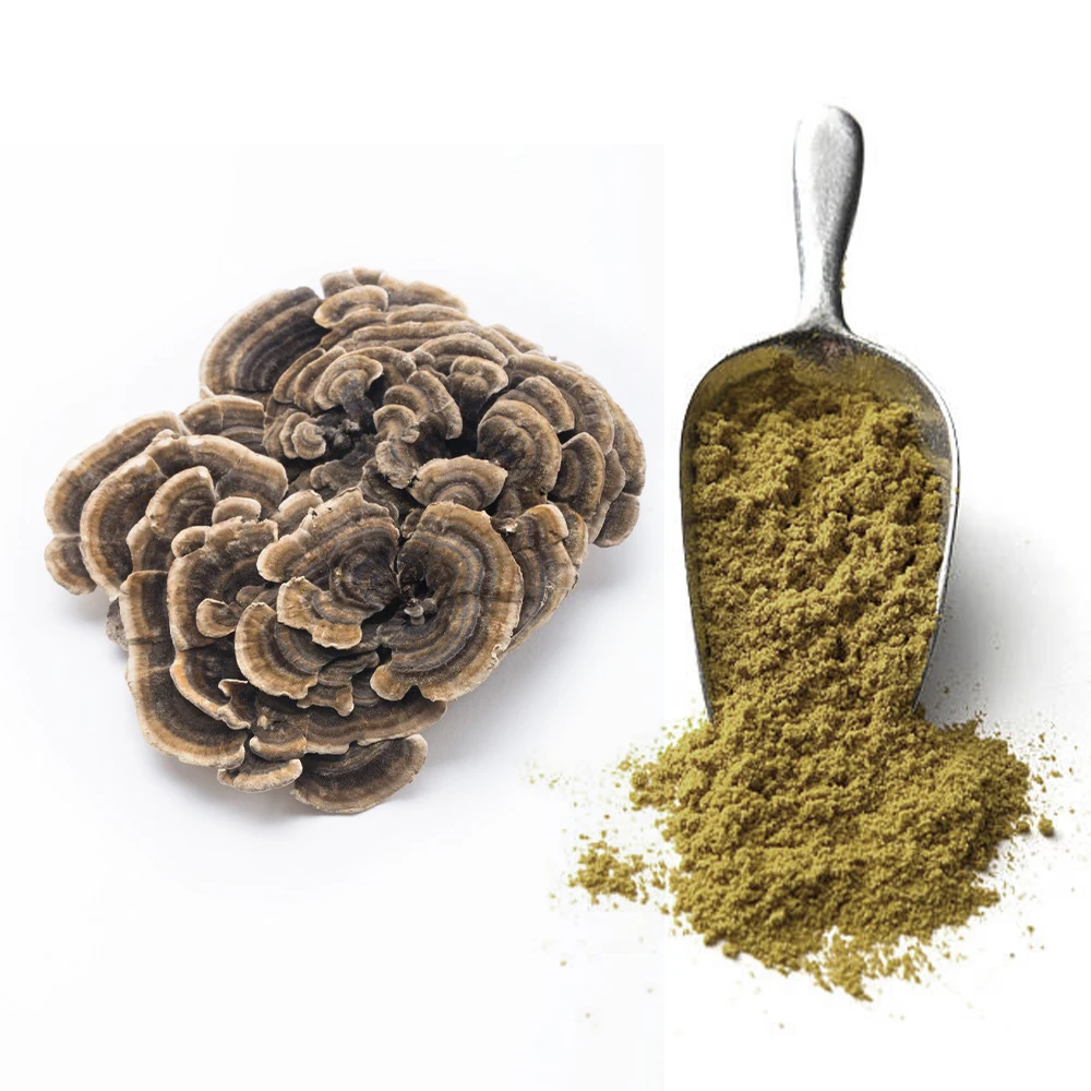Organic Turkey Tail Mushroom Powder Natural Mushroom Supplement, Contains PSP and PSK, Pet Friendly