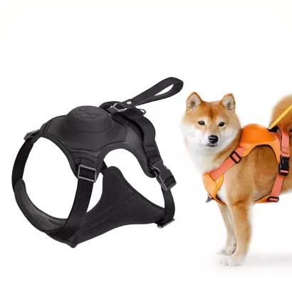 OEM Factory Lead Pvc For Dog Leash With Brass Accessories