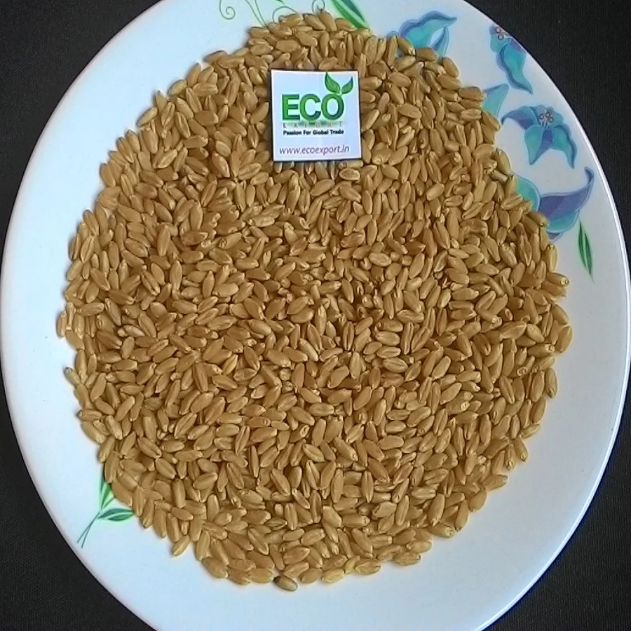 Низкая цена Твердая пшеница