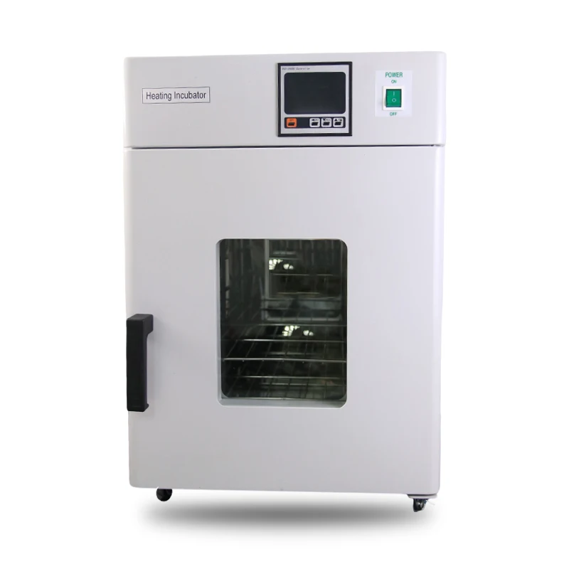 WEIAI 20L biological indicator incubator Thermostatic medical laboratory incubator microbiology 270L incubadoras de huevos
