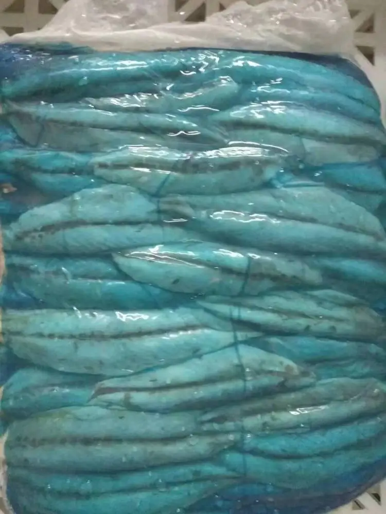 Mackerel loins interleaved 5kg single clean without red meat 10% flakes
