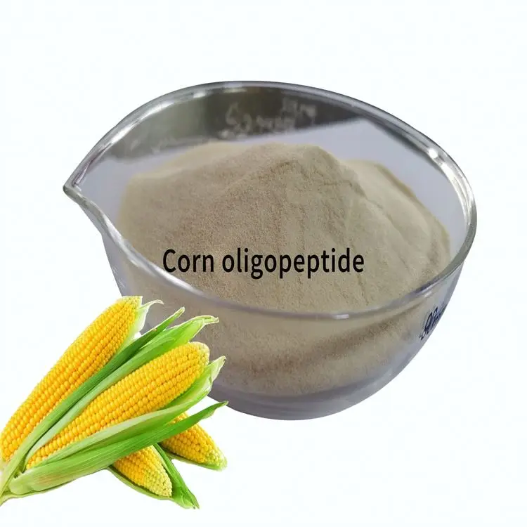 Chinese Supplier corn protein peptide powder for Nutritional Supplements