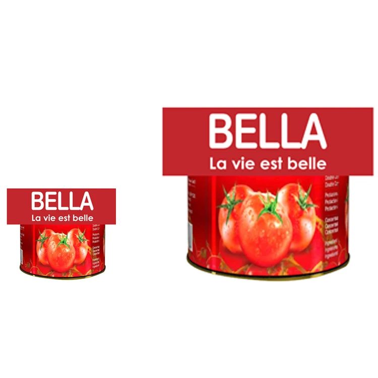 POPULAR FAST DELIVERY BELLILA FACTORY DIRECTLY SALE FRESH TOMATO PASTE BRAND PRODUCED IN EUROPEAN Global export