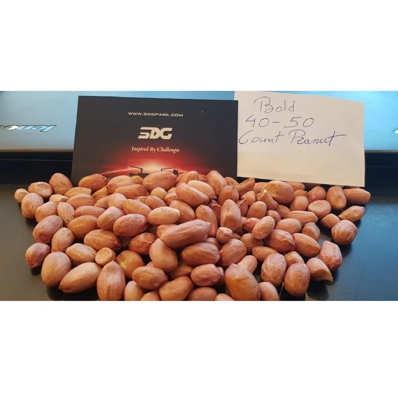 Hot Sale Indian groundnut bold 40/50 hps quality supplier at cheap rate best supplier from India wholesaler