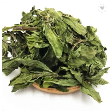 Wholesale Dried mint leaves Tea Bulk dried Peppermint tea factory supply