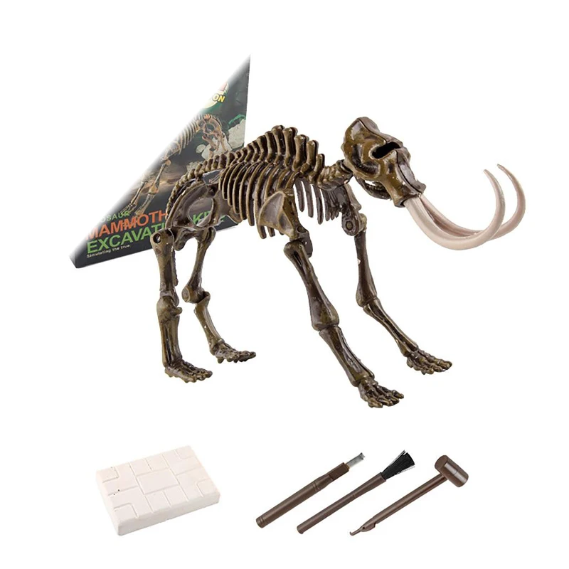 Wholesale Dinosaur Fossil And Excavation For Kids Science Kits For Boys Girls Age 6 And Up