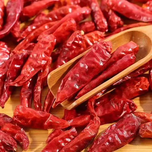 Hot Selling Cheap Whole Dried red extra hot chilli Spice too spicy good quality chilli
