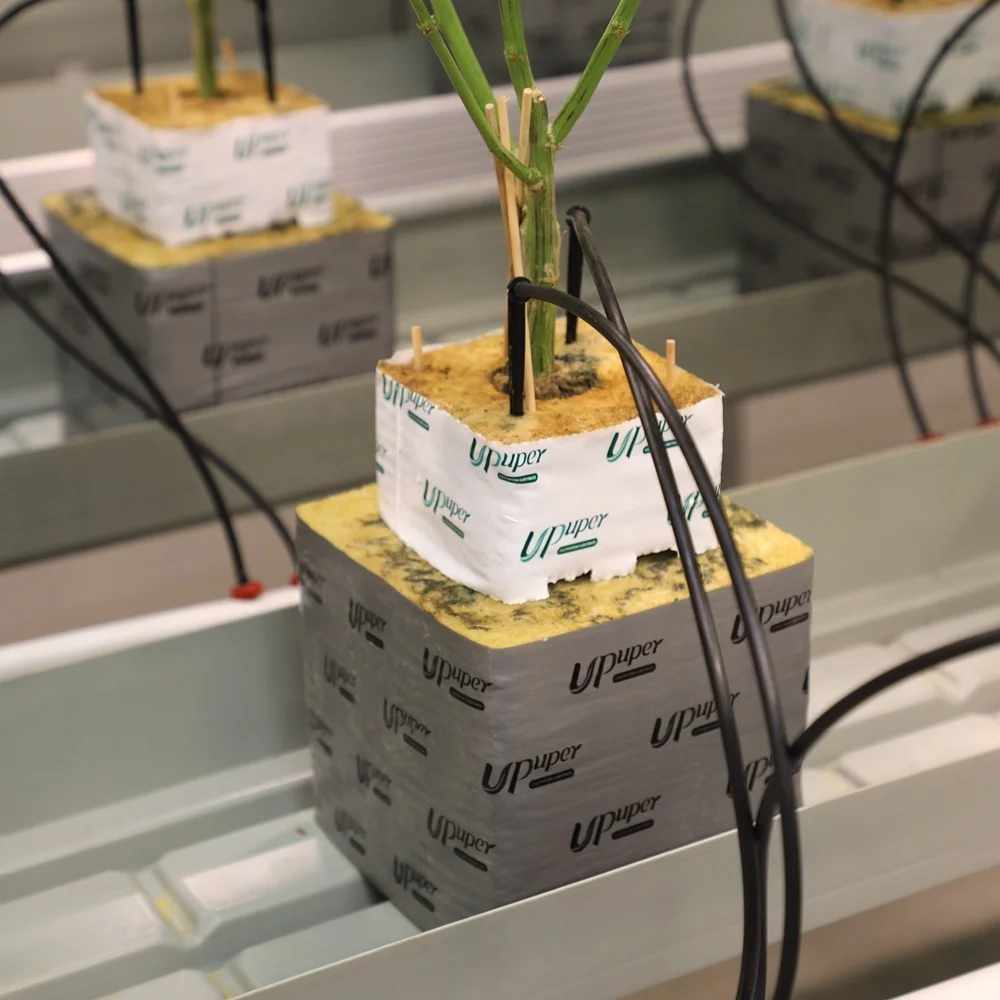 UPuper commerical indoor grow hydroponic media rock wool hydroponic grow blocks