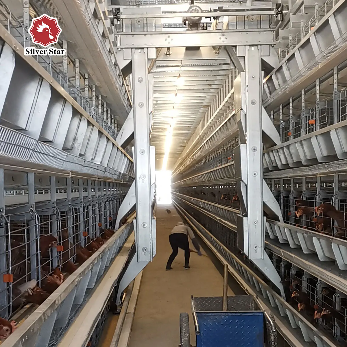 Automatic Stroller Seeding Machine For Farm Poultry Chicken Cage