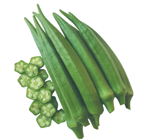 FRESH OKRA WITH EXCELLENT PRICE AND HIGH QUALITY FOR EXPORTING FROM VIETNAM
